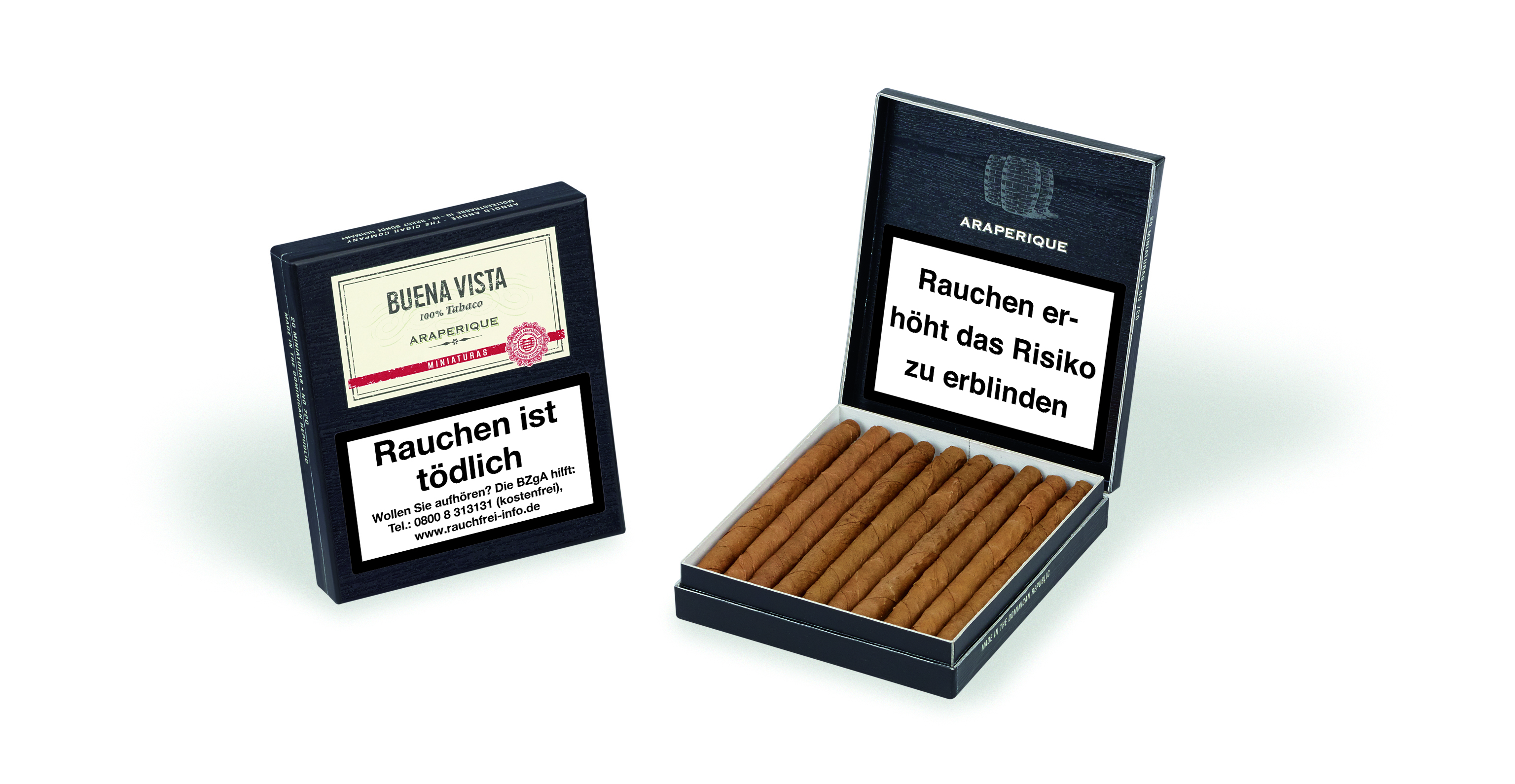 Buena Vista Miniaturas