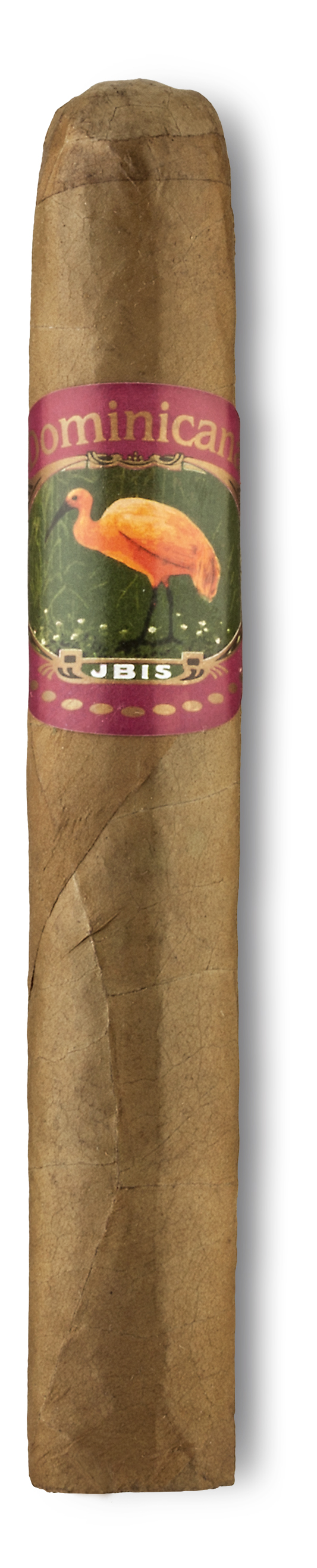 Ibis Dominicana Robusto