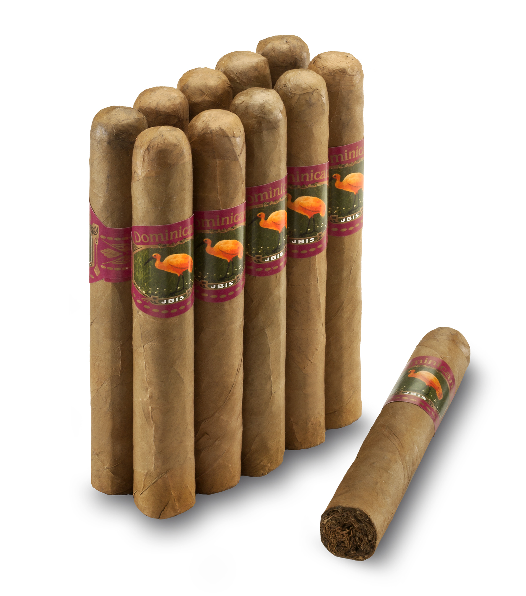 Ibis Dominicana Robusto