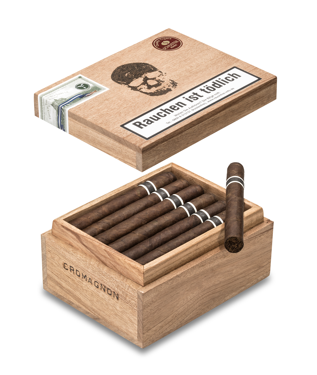 CroMagnon Anthropology