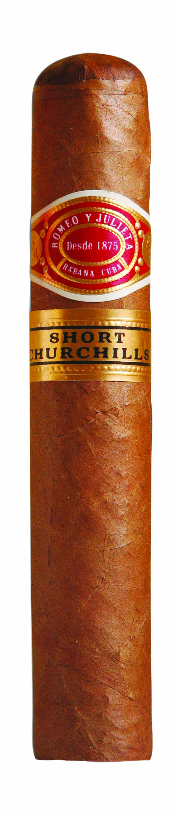 Romeo y Julieta Short Churchills A/T