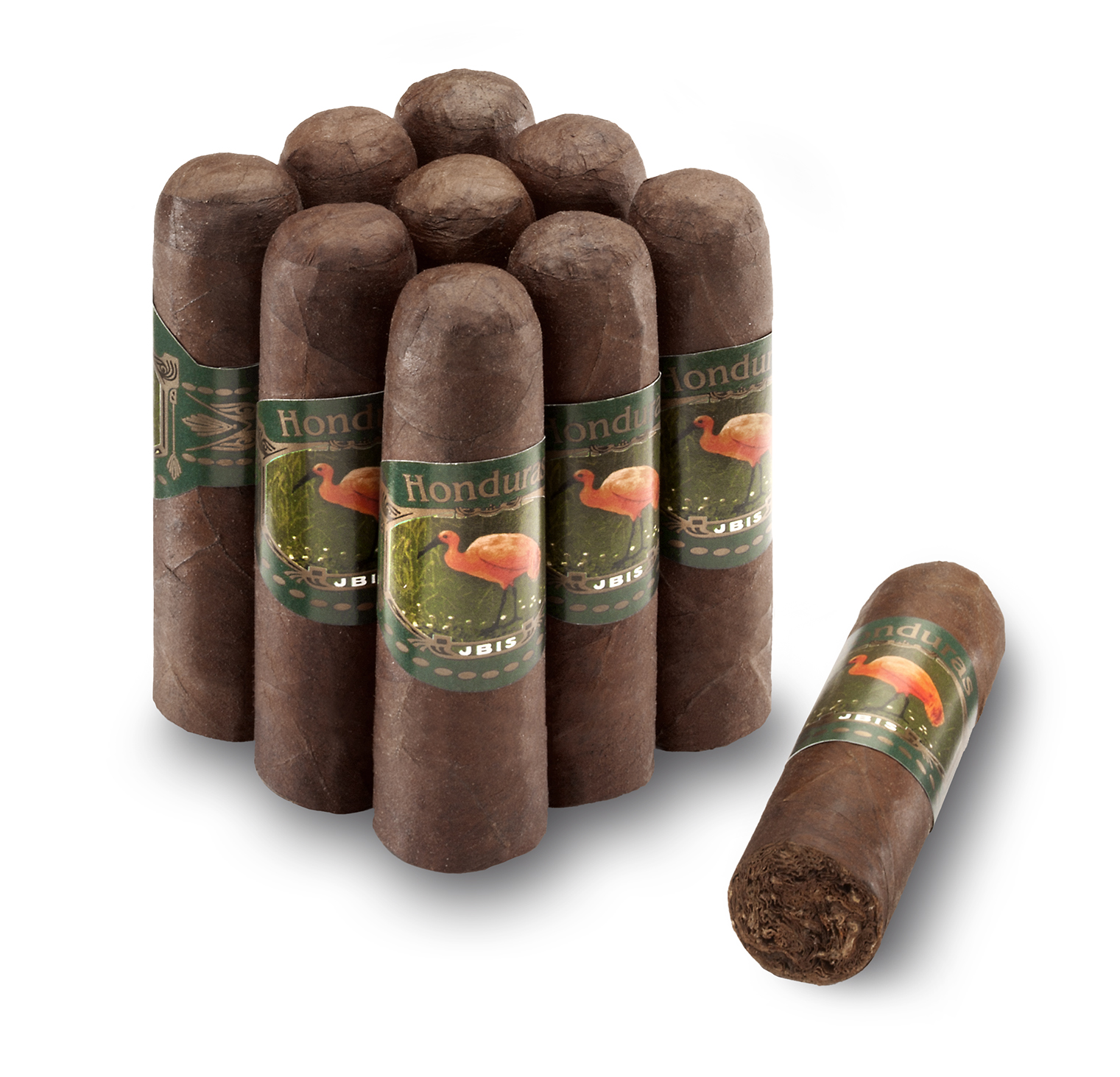 Ibis Honduras Mini Robusto Maduro