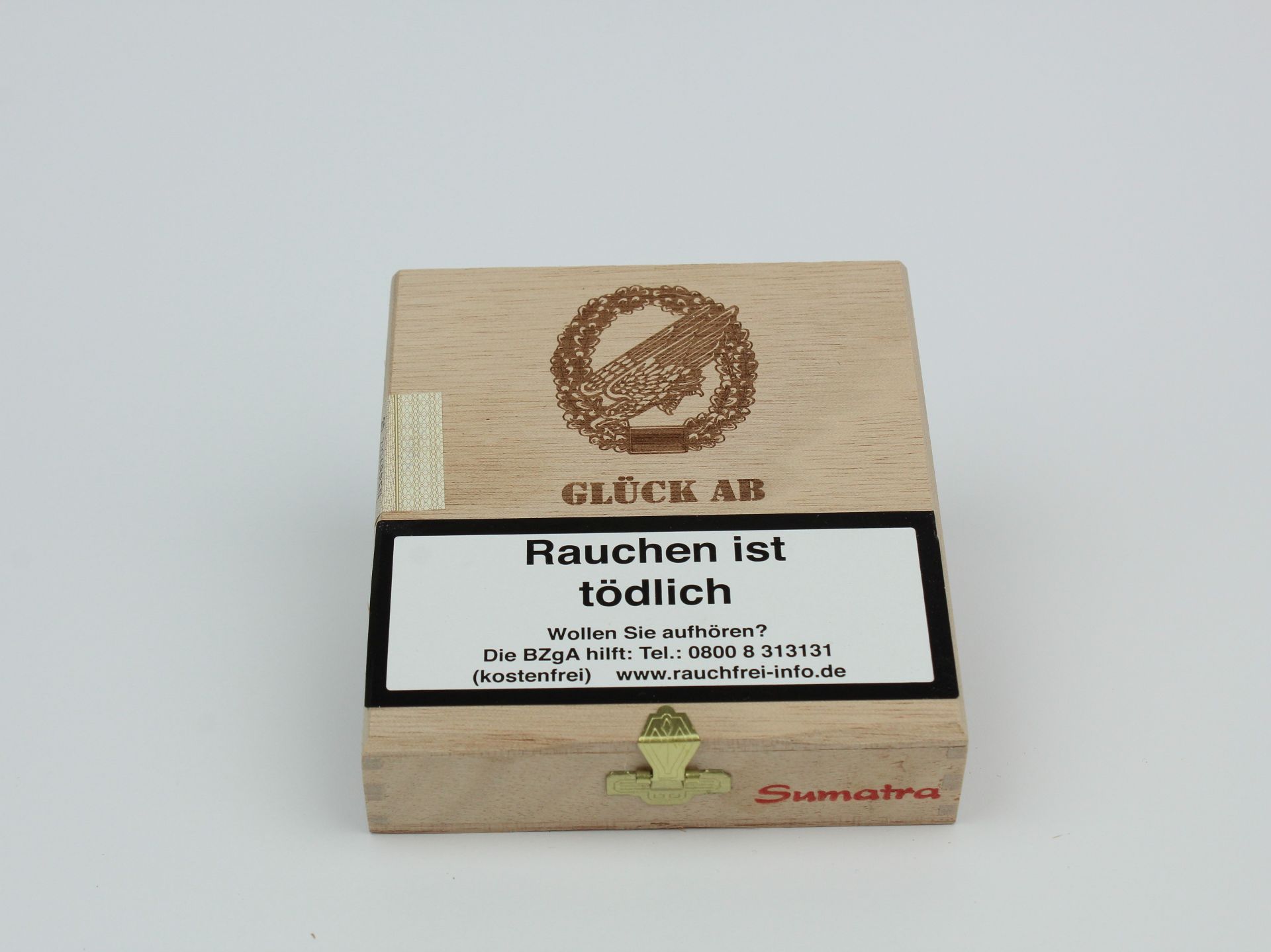 stürzender Adler